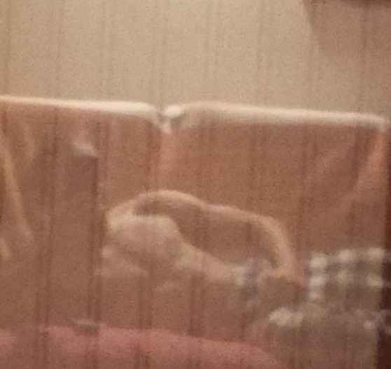 Alphonso - Corcelles-près-Concise - Vaud | Speed Dating