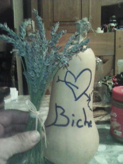 Alliaume - Cimalmotto - Tessin | Speed Dating