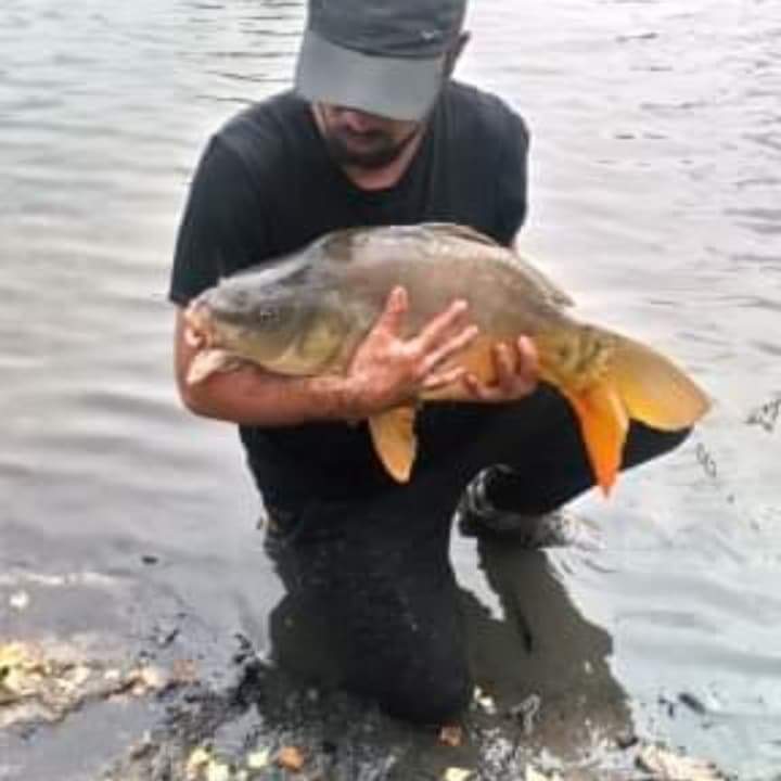 Yaqine - Aldesago - Tessin | Speed Dating