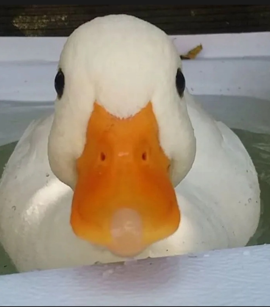 Taric - Erschmatt - Valais | Speed Dating