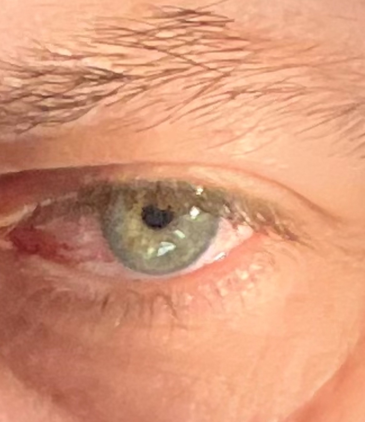 Rambert - Ermenswil - Saint-Gall | Speed Dating