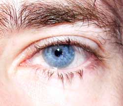 Florimont - Grandval - Berne | Speed Dating